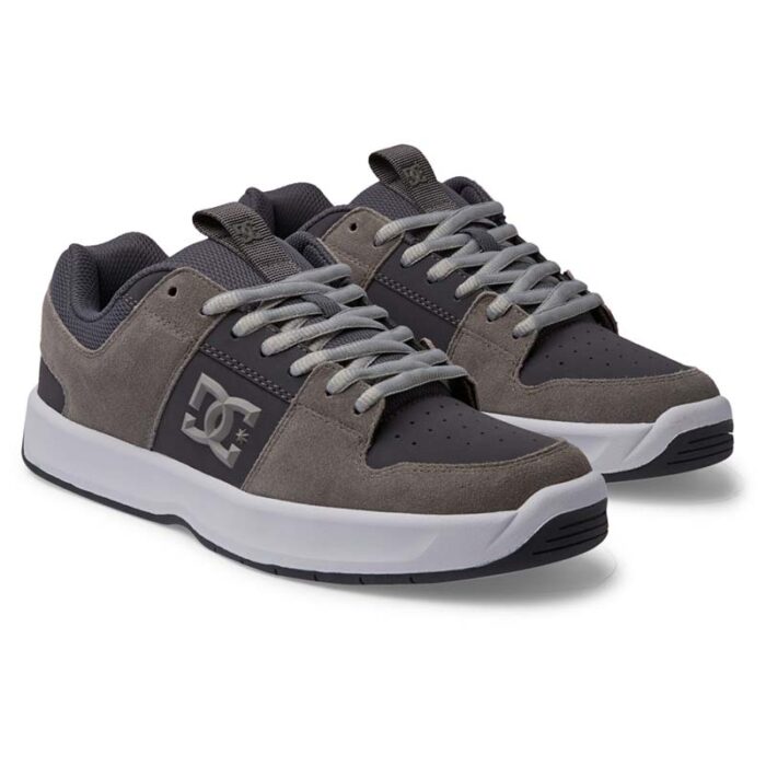 DC Lynx Zero Leather Shoe Grey White